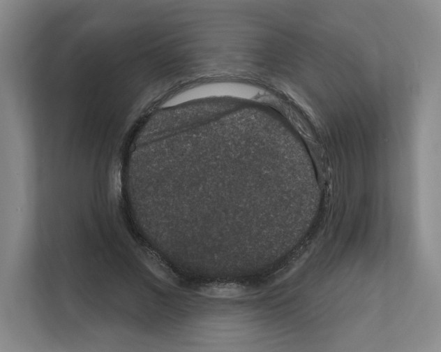 X0000111160685200908111154