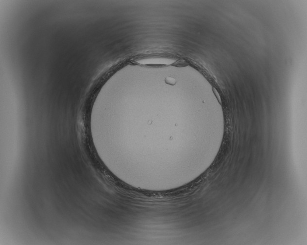 X0000111160688200908111154