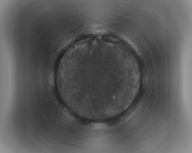 X0000111160689200908111154