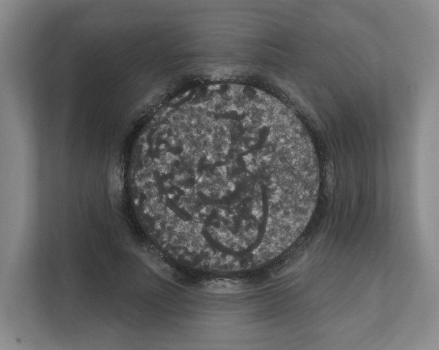 X0000111160691200908111154