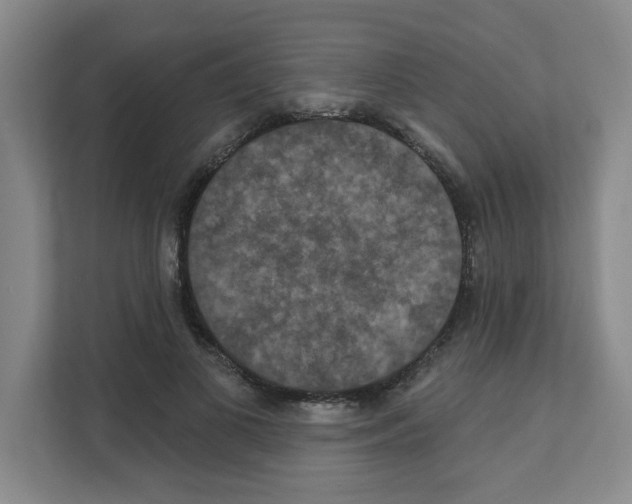 X0000111160693200908111154