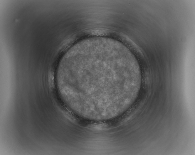 X0000111160696200908111154