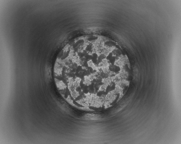 X0000111160699200908111154
