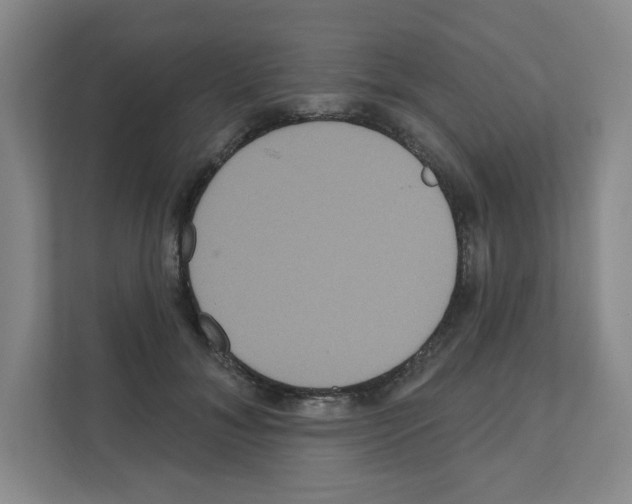 X0000111160700200908111154