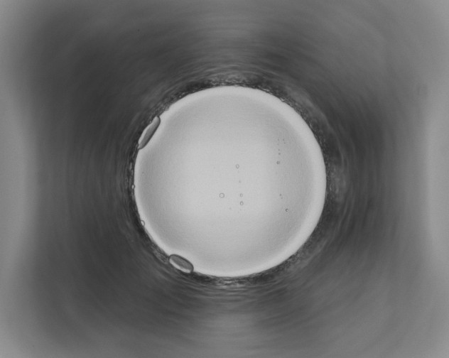 X0000111160701200908111154