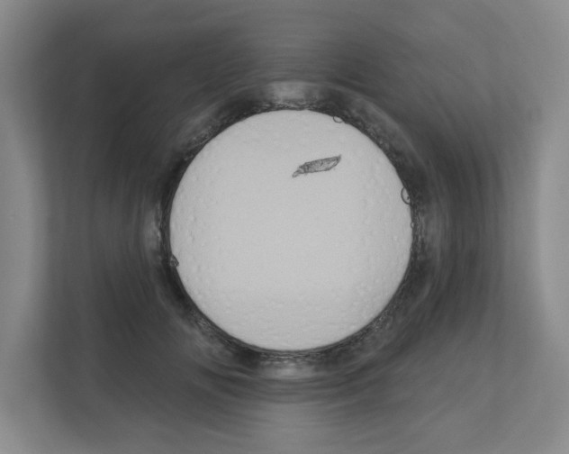 X0000111160702200908111154