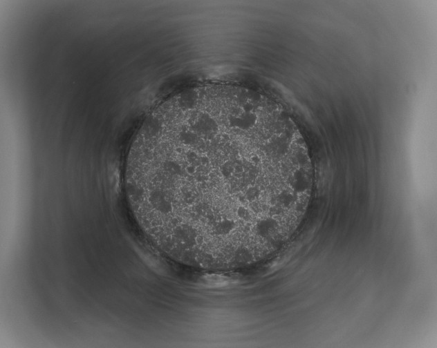 X0000111160703200908111154