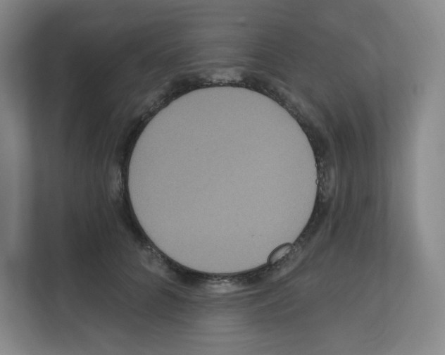 X0000111160704200908111154