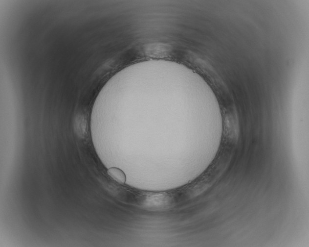 X0000111160705200908111154