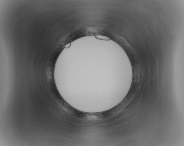 X0000111160706200908111154