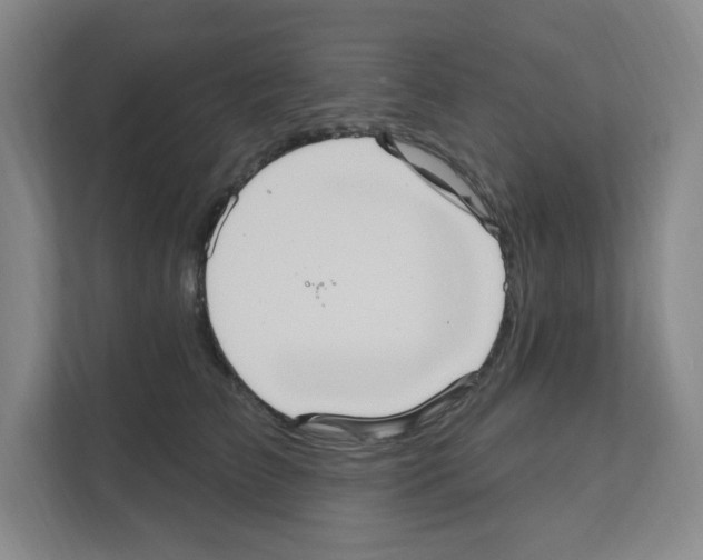 X0000111160709200908111154