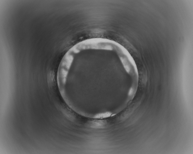 X0000111160711200908111154