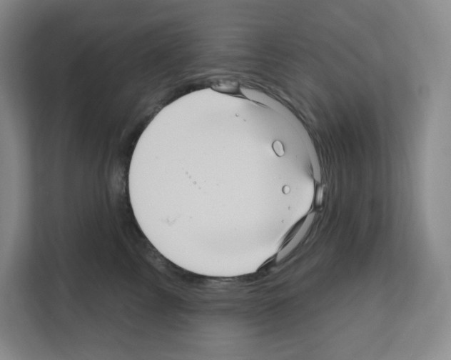 X0000111160713200908111154