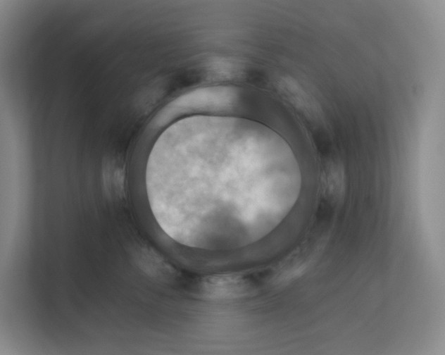 X0000111160716200908111154