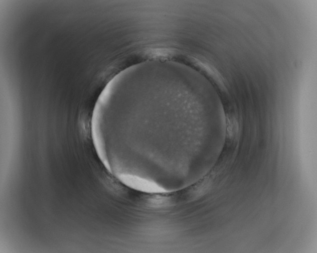 X0000111160718200908111154