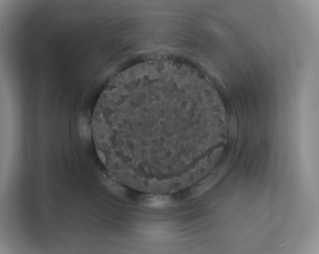 X0000111160719200908111154