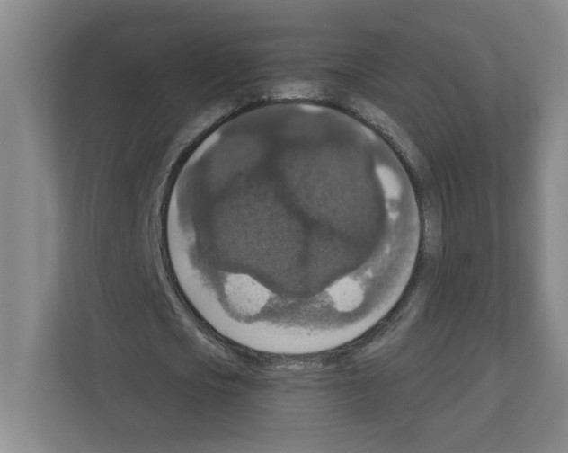 X0000111160721200908111153