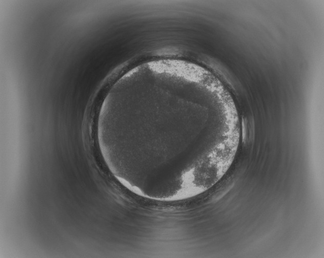 X0000111160723200908111153