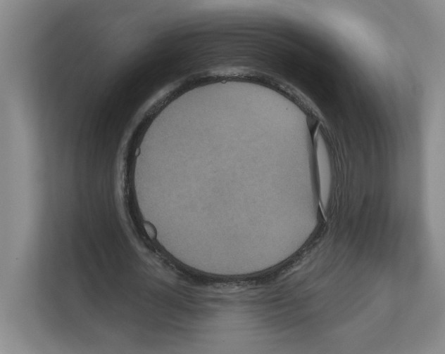X0000111160724200908111153