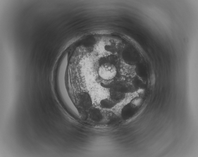 X0000111160725200908111153