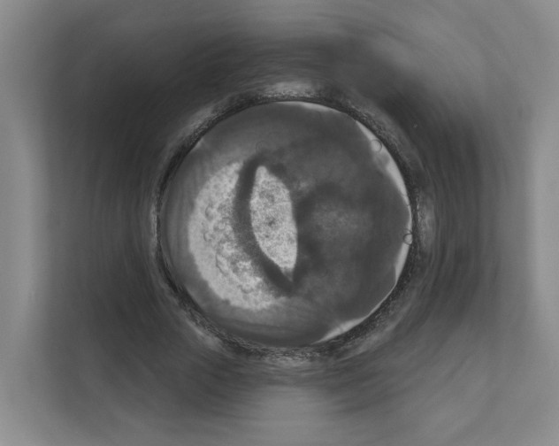 X0000111160729200908111153