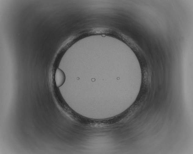 X0000111160730200908111153