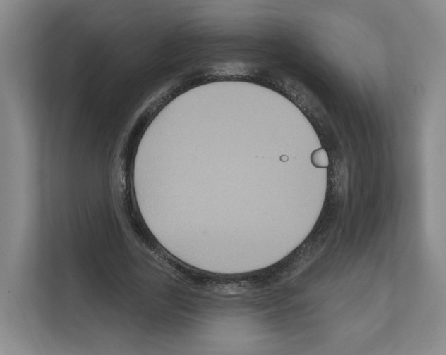 X0000111160731200908111153