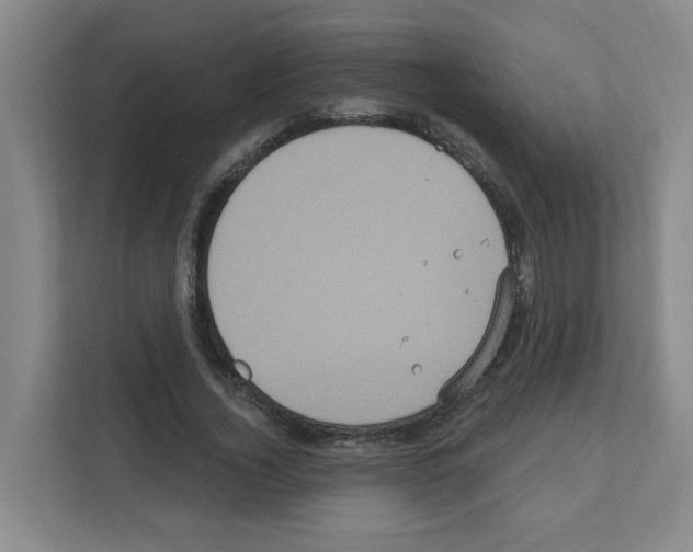 X0000111160732200908111153