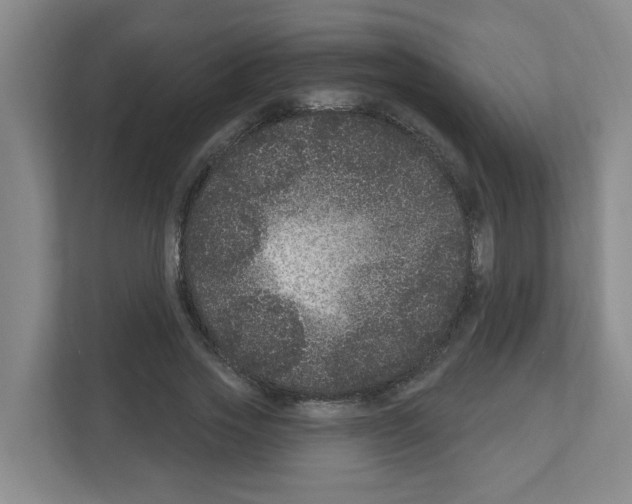 X0000111160733200908111153