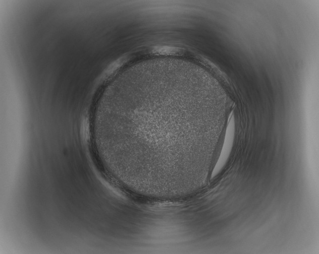 X0000111160734200908111153