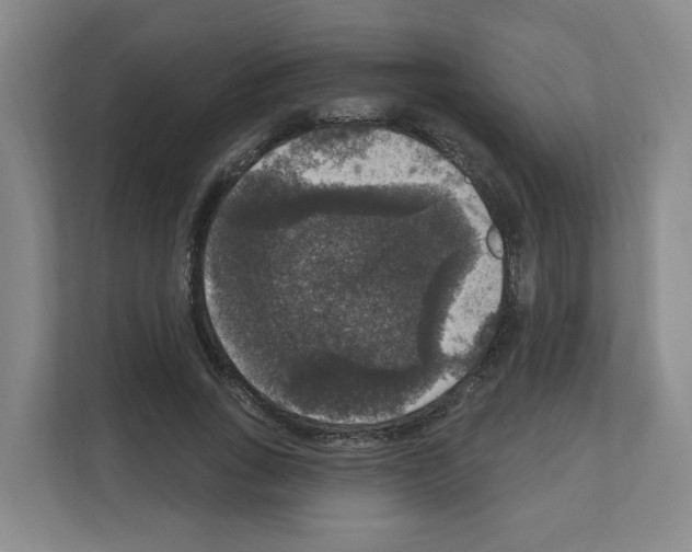 X0000111160735200908111153