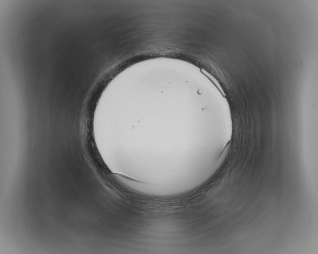 X0000111160736200908111153
