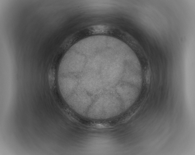 X0000111160737200908111153