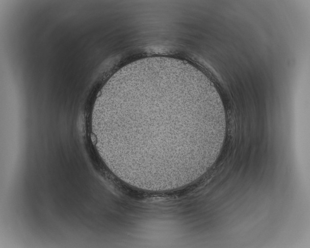 X0000111160738200908111153