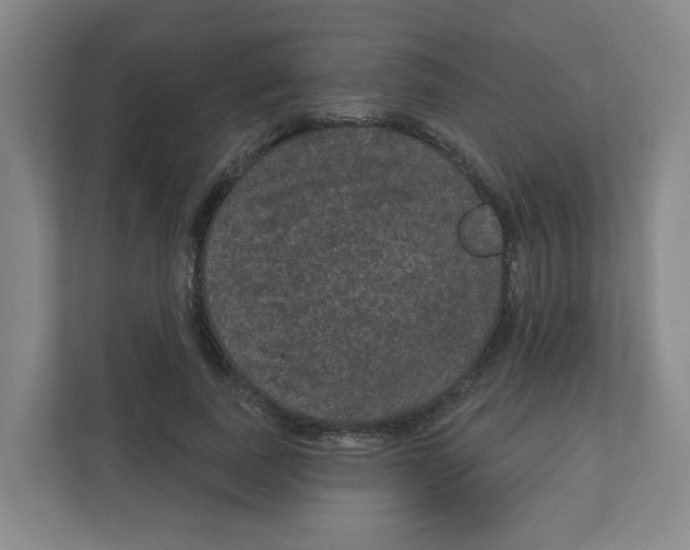 X0000111160739200908111153