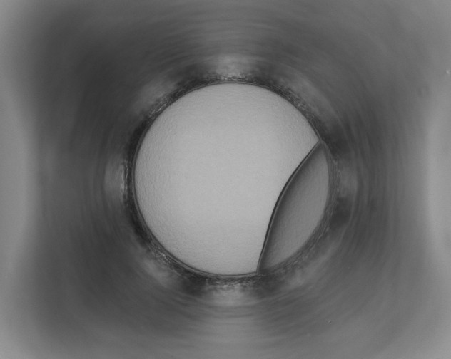 X0000111160740200908111153