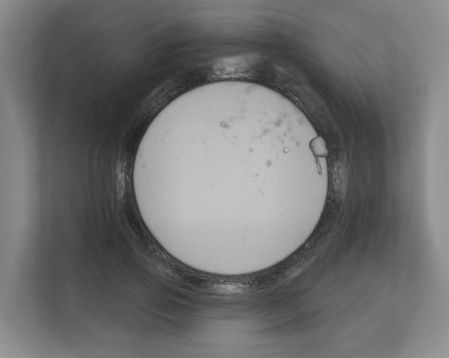 X0000111160741200908111153