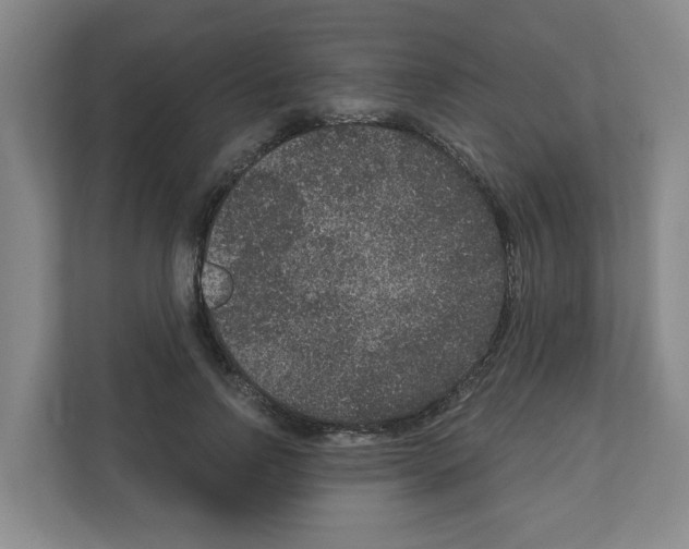 X0000111160742200908111153