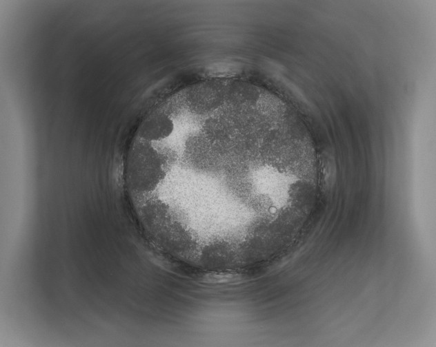 X0000111160745200908111153