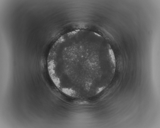 X0000111160747200908111153