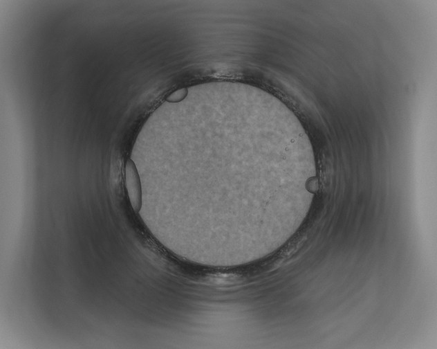 X0000111160748200908111153