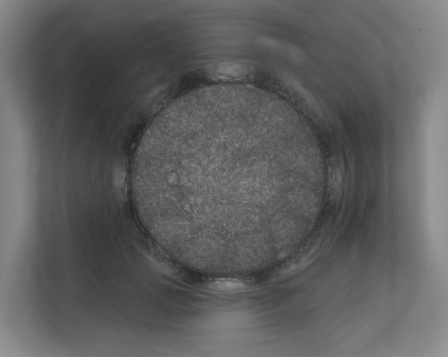 X0000111160749200908111153