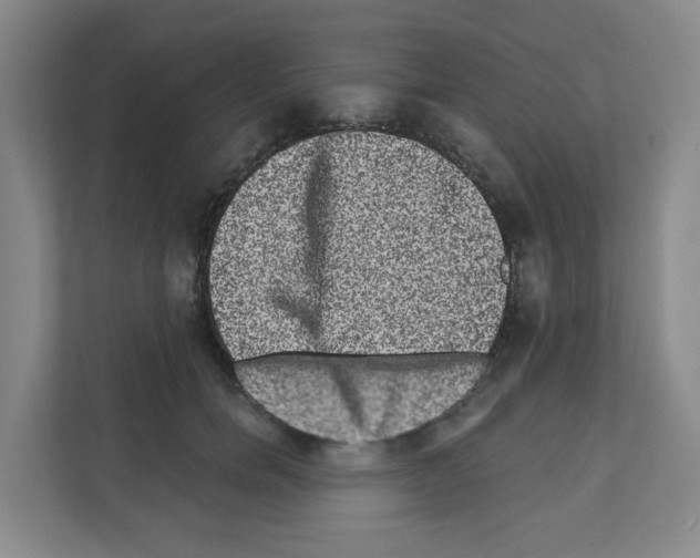X0000111160750200908111153