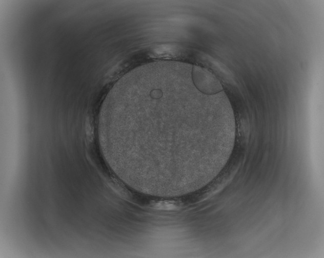 X0000111160751200908111153