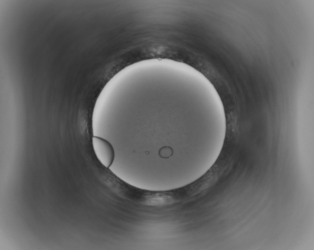 X0000111160754200908111153
