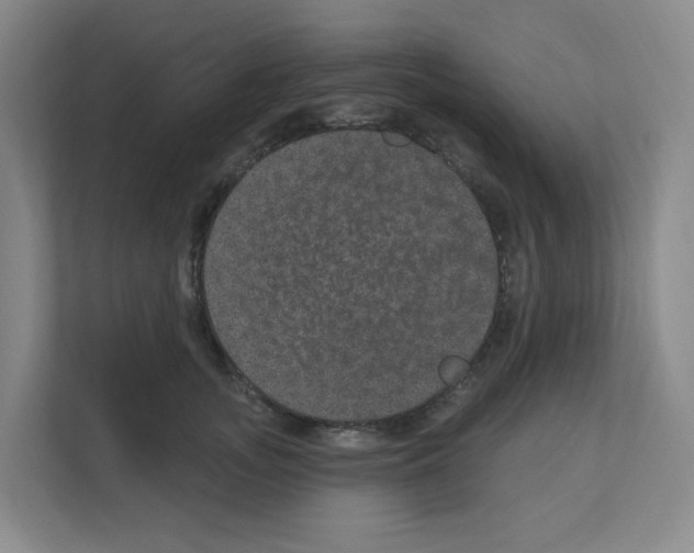 X0000111160755200908111153
