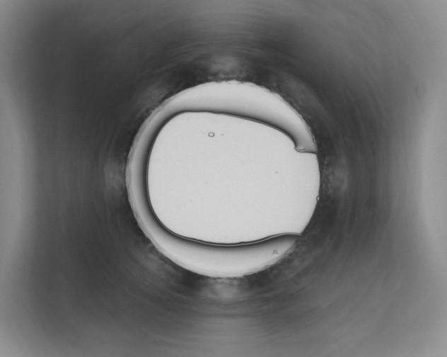 X0000111160756200908111153