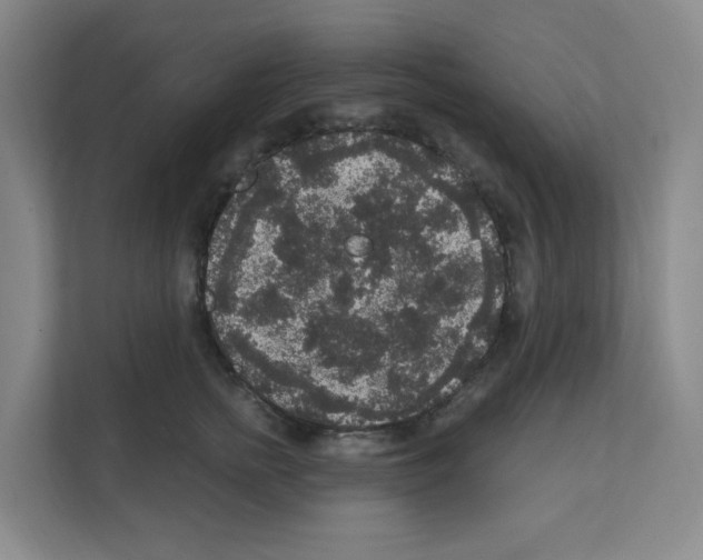 X0000111160758200908111154