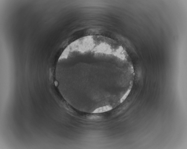 X0000111160759200908111154