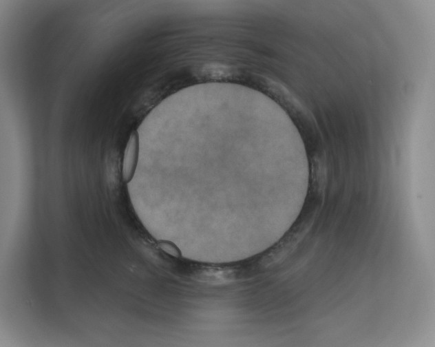 X0000111160760200908111154